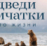 Брянцы увидят фильм о российской дикой природе «Медведи Камчатки. Начало жизни»  (6+) - Газета Наше время