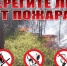 Правила пожарной безопасности в лесах - Газета Наше время