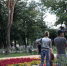 Брянцы хотят перенести опыт благоустройства сквера Морозова на обычные дворы - Газета Наше время