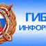 В Навле пройдёт мероприятие по задержанию автомобилистов с незаконной тонировкой - Газета Наше время