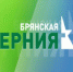 Канал «Брянская губерния» выходит на новый федеральный уровень - Газета Наше время