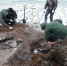 Поисковики брянской Жуковки подняли останки трёх красноармейцев - Газета Наше время