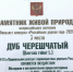 Навлинский Партизанский дуб занял почетное бронзовое место - Газета Наше время