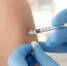 Свыше 3 тысяч человек ежедневно вакцинируются на Брянщине - Газета Наше время