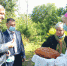 В брянском Трубчевске открыли после ремонта два сельских Дома культуры - Газета Наше время