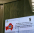 Общественная палата Брянской области проводит девятое пленарное заседание - Газета Наше время