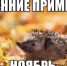 Народные приметы, гороскоп, погода - Газета Наше время