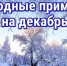 Народные приметы, гороскоп, погода - Газета Наше время