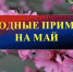 Народные приметы, гороскоп, погода - Газета Наше время