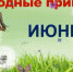 Народные приметы, гороскоп, погода - Газета Наше время
