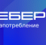 Интернет завоевал симпатии старшего поколения - Газета Наше время