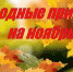 Народные приметы, гороскоп, погода - Газета Наше время