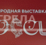 Глава Брянщины  принял участие в стратегической сессии на выставке-форуме «Россия» - Газета Наше время