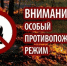 В лесах Брянской области введен особый противопожарный режим - Газета Наше время