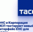 ФНС и Корпорация МСП тестируют новый интерфейс ЕНС для юрлиц - Газета Наше время