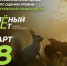 Брянцев приглашают принять участие в экологическом тестировании «Зелёный Зачёт» - Газета Наше время