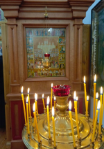 img-20250209-wa0091