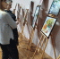 «Цветочная симфония» - Навлинская центральная библиотека