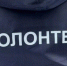 На Брянщине набирают волонтеров для голосования за объекты благоустройства - Газета Наше время