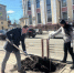 В центре Брянска высадили 10 австралийских клёнов - Газета Наше время