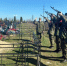В Навлинском благочинии простились с военнослужащим, погибшим в ходе СВО Скумаем Николаем Николаевичем - Газета Наше время