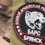 В регионе приглашают желающих вступить в ряды отряда «БАРС-Брянск» - Газета Наше время