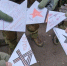 Школьники Брянской области написали письма росгвардейцам на приграничье - Газета Наше время