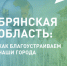 Две недели осталось до окончания голосования за объекты благоустройства в Брянской области - Газета Наше время