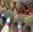 На Брянщине активно ведется работа по развитию сельских территорий - Газета Наше время